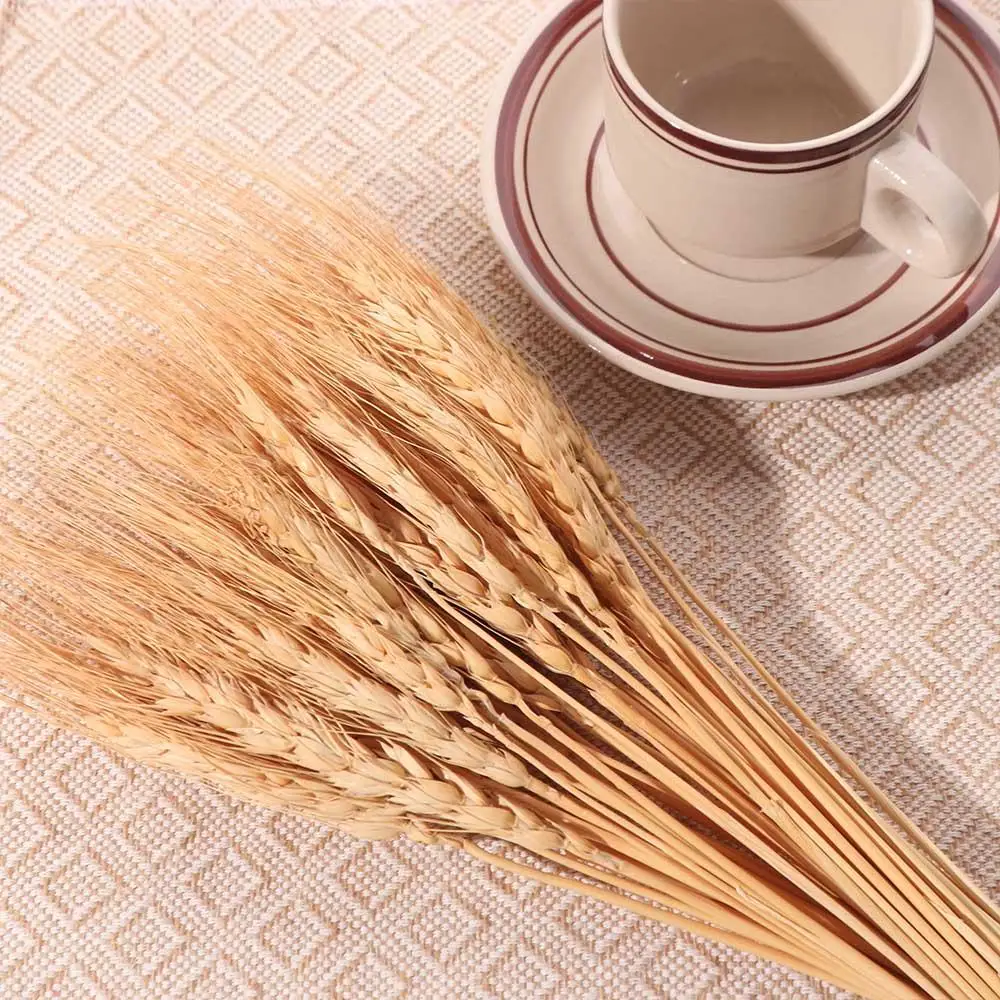 50 tiges de blé séchées artifi - Dried Flower Bulk avis et prix