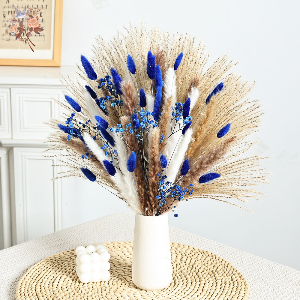 Queue de lapin moelleuse bleue - Dried Flower Bulk avis et prix