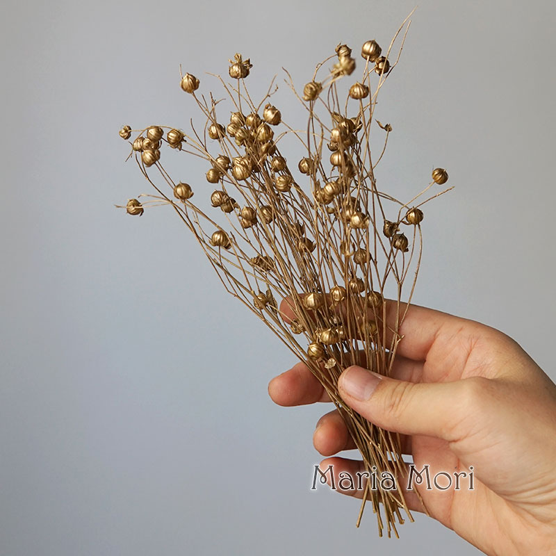 Bougies parfumées séchées colo - Dried Flower Bulk avis et prix