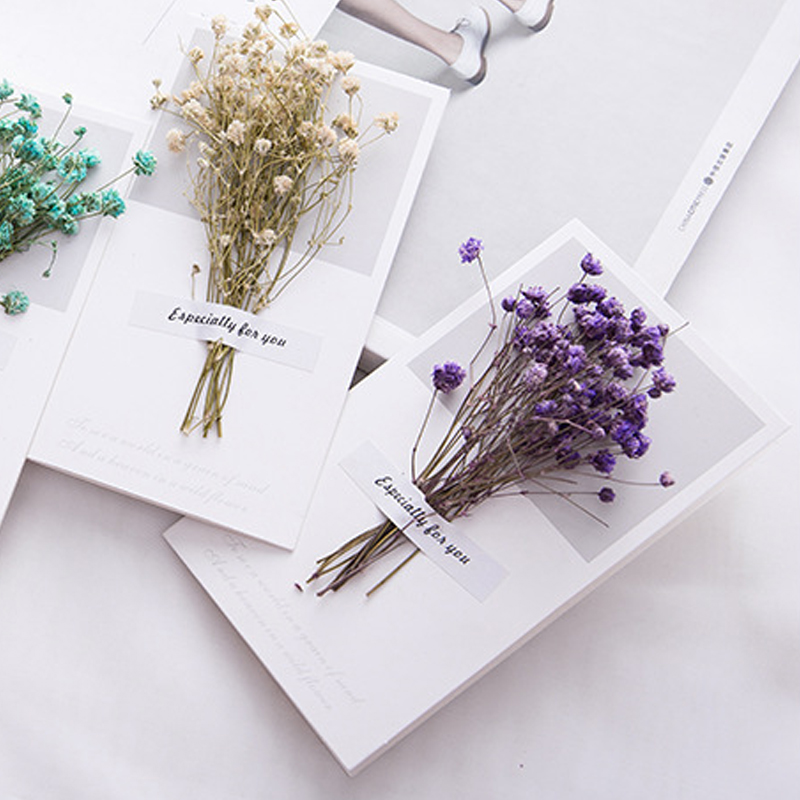 Carte-cadeau d'invitation de m - Dried Flower Bulk avis et prix